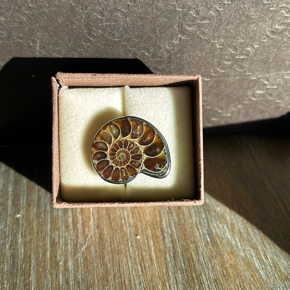 Shell Ring